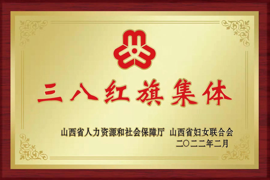山(shān)西省三八婦女先進集體(tǐ)