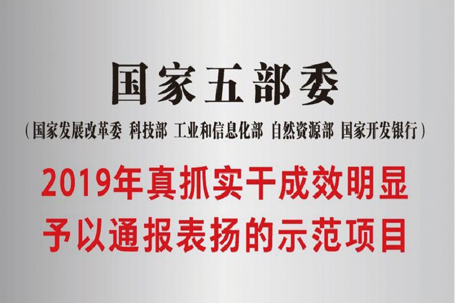 國(guó)家五部委2019年真抓實幹成效明顯予以通報表揚的示範項目